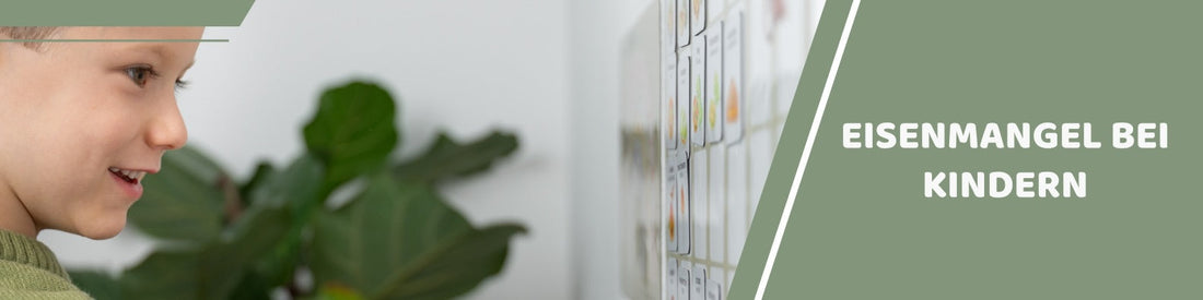 Mealomat Blogbanner: Eisenmangel bei Kindern erkennen und vorbeugen
