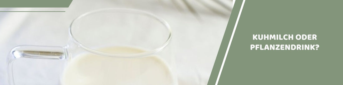 Mealomat Blogbanner: Kuhmilch oder Pflanzendrink für Kinder