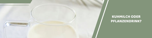 Mealomat Blogbanner: Kuhmilch oder Pflanzendrink für Kinder