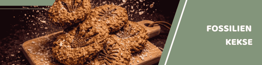 Fossilien Kekse: Der gesunde Dino Snack ohne Zucker