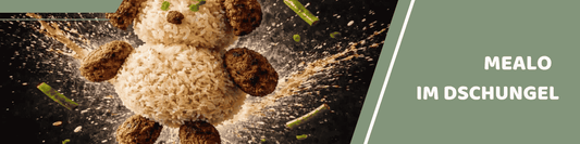 Mealomat Blogbanner: Mealo Dschungel Expedition