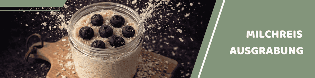 Mealomat Blogbanner: Dino Fossilien Milchreis