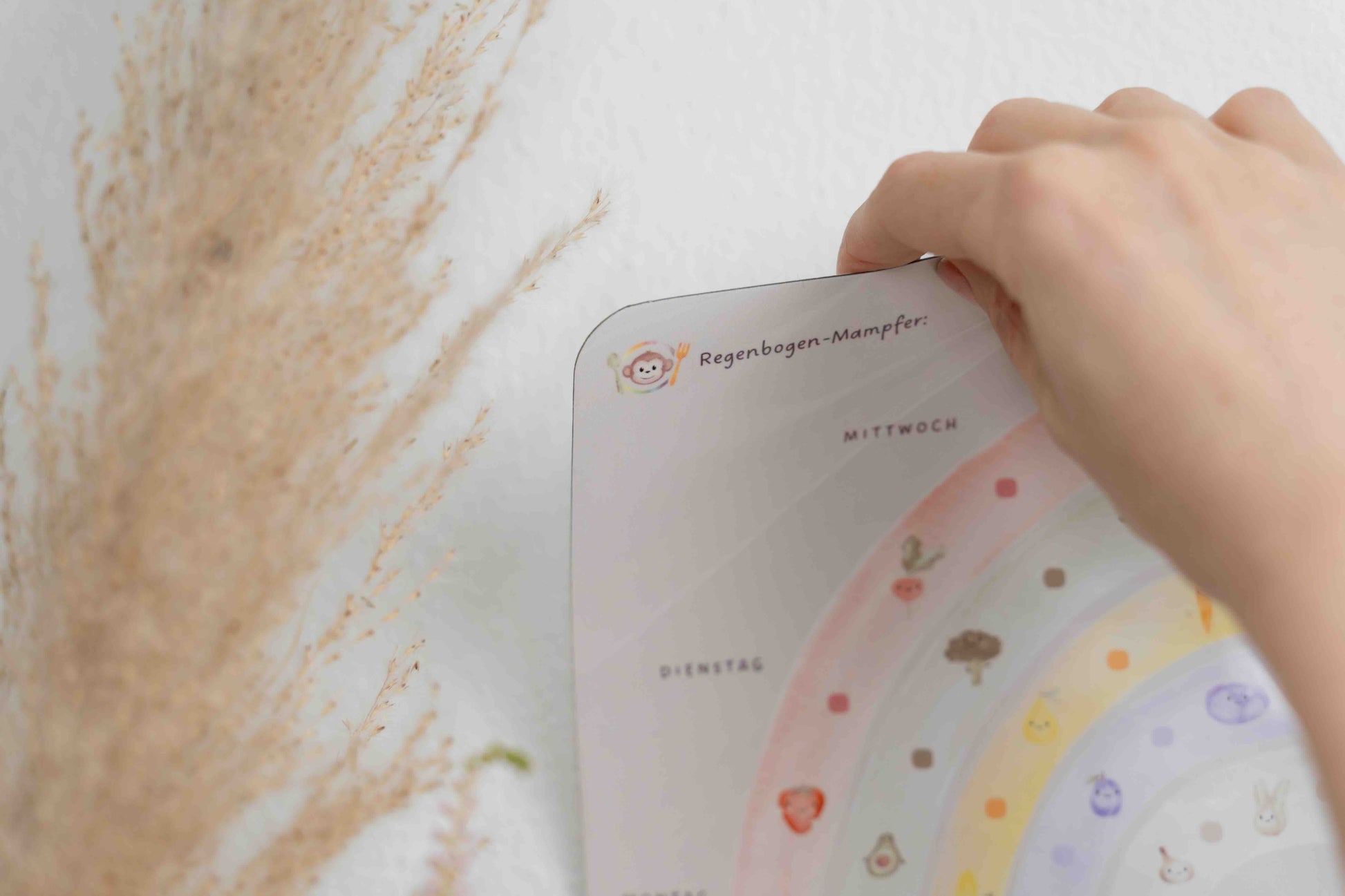 Rückstandslos abziehbarer Mealomat Wochenplaner: Die flexible Lösung für gesundes Essen nach Montessori-Art in Mietwohnungen und modernen Küchen.